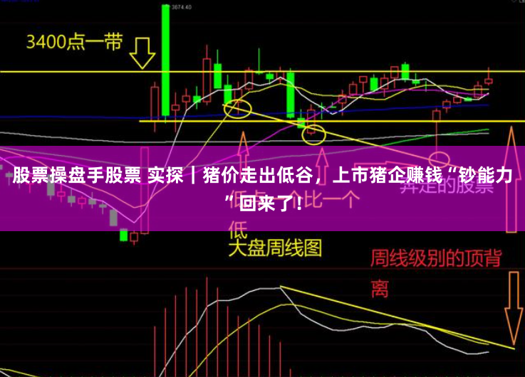 股票操盘手股票 实探｜猪价走出低谷，上市猪企赚钱“钞能力”回来了！