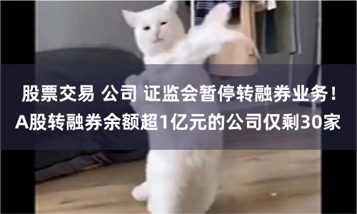 股票交易 公司 证监会暂停转融券业务！A股转融券余额超1亿元的公司仅剩30家